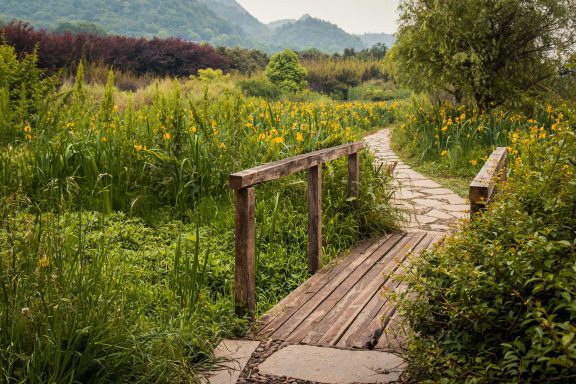 Neue Wege